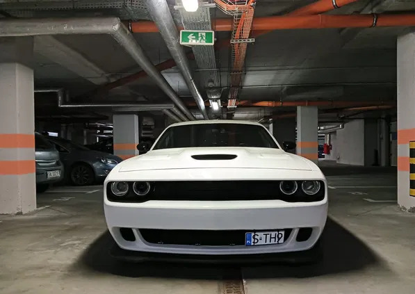 dodge challenger Dodge Challenger cena 175000 przebieg: 110000, rok produkcji 2019 z Katowice